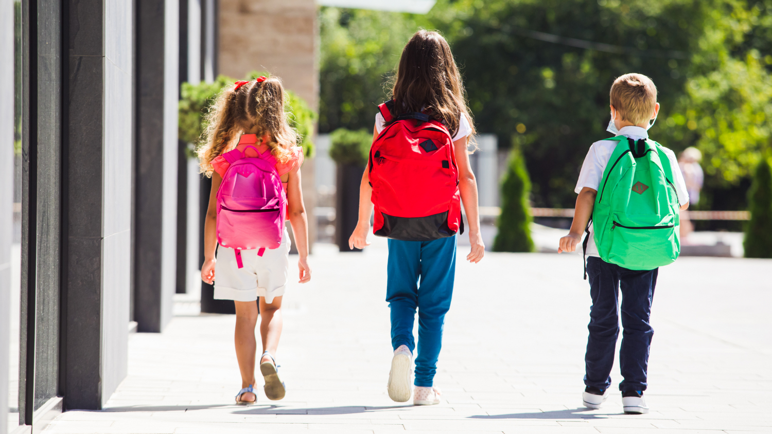 🛑 Back-to-School, Not Back to Chaos