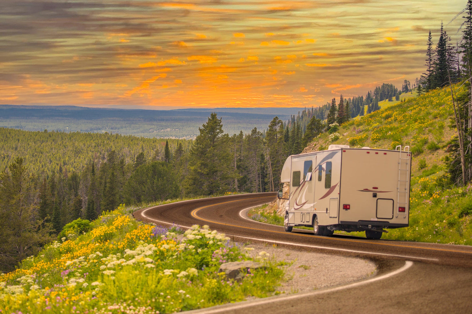 RV/Camper