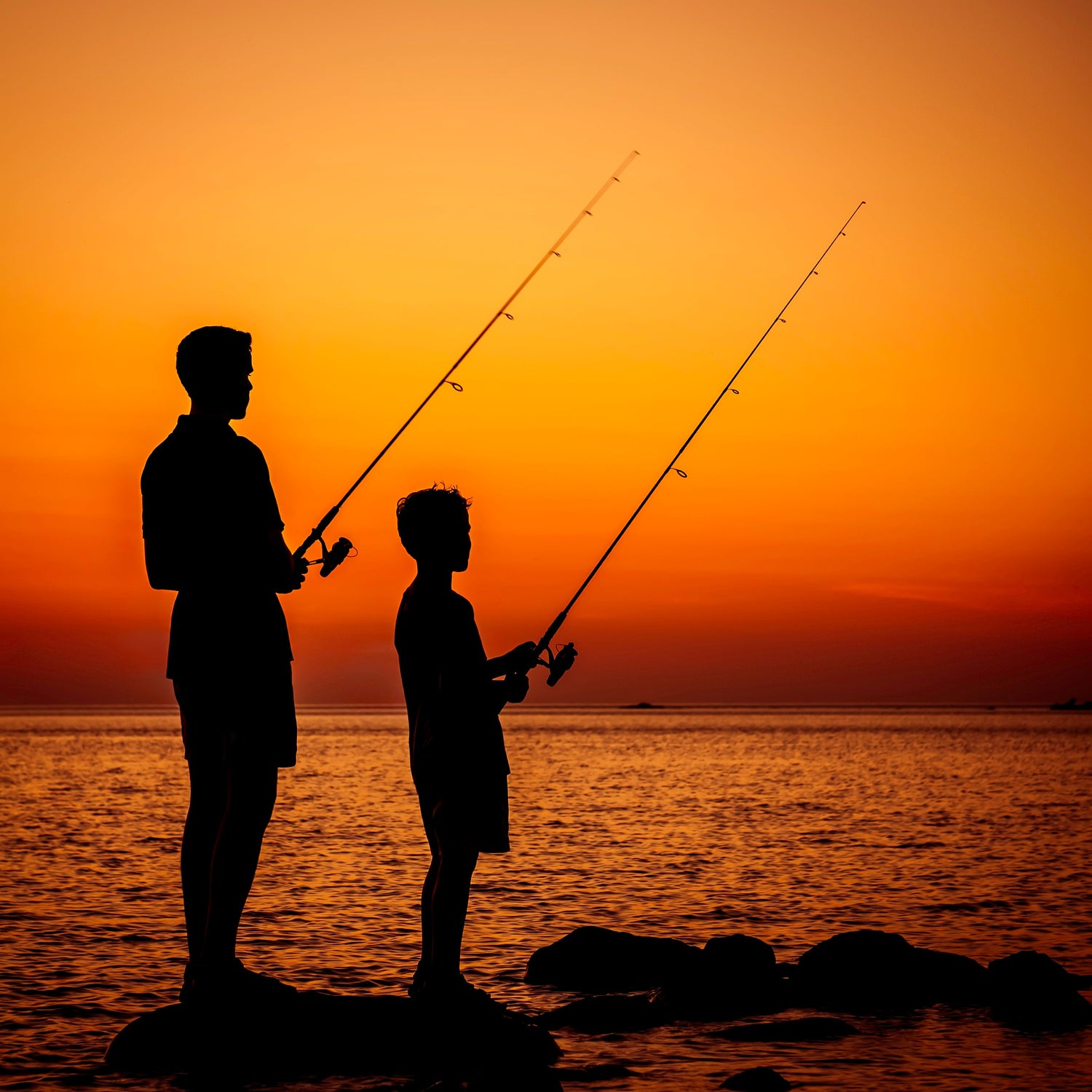 Rods & Reels