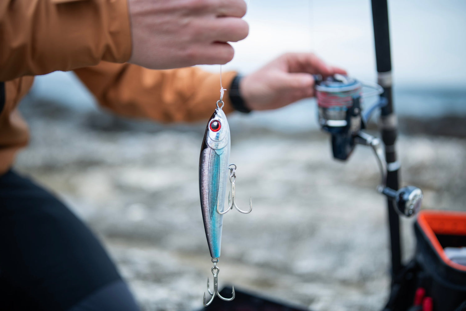 Hard & Soft Bait